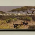 Symphony of the Savannah