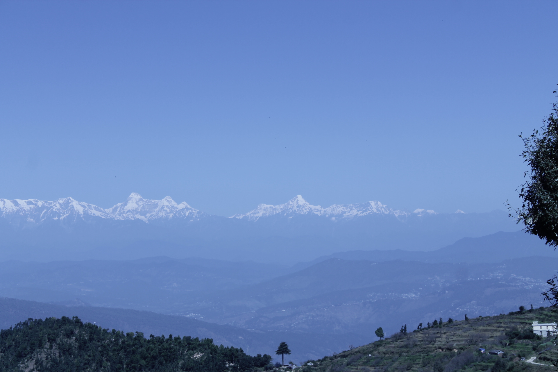 The Nanda Devi range of the Himalayas from Katie's Abode Hartola homestay