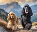 Katie and Chloe on their way to the cave of the Mountain Guardian