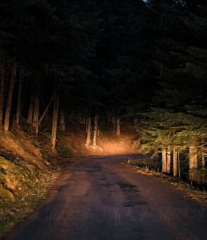 Driving to Katie's Abode Hartola homestay at night