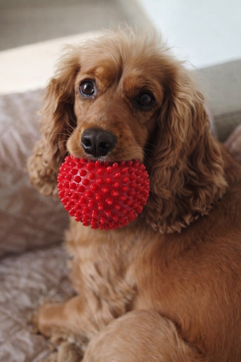 Chloe and her red ball